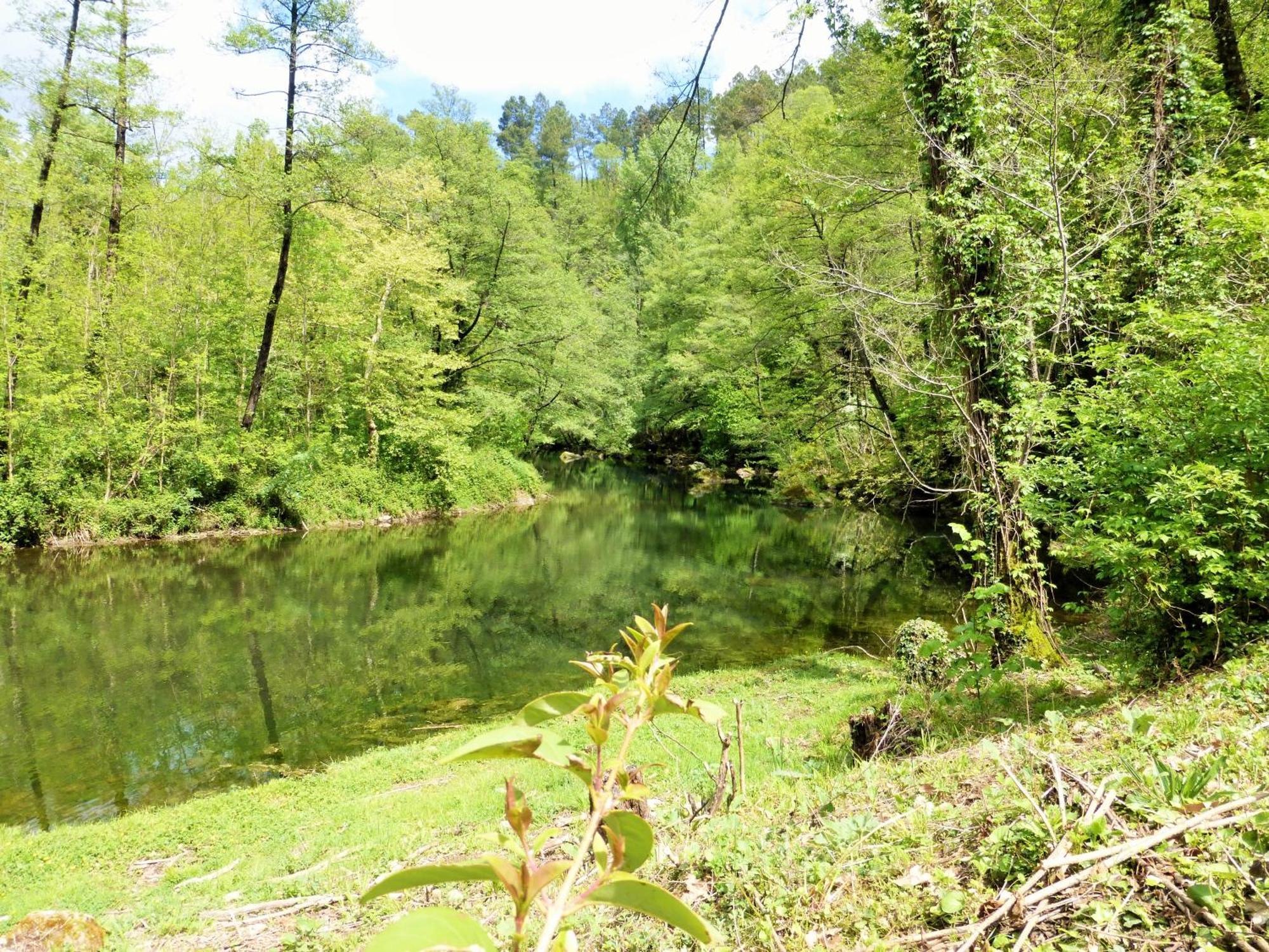 Chateau Du Fraissinet, 6 Gites Sleeping 2-8 Guests, Pool And River On Site La Tronche  外观 照片