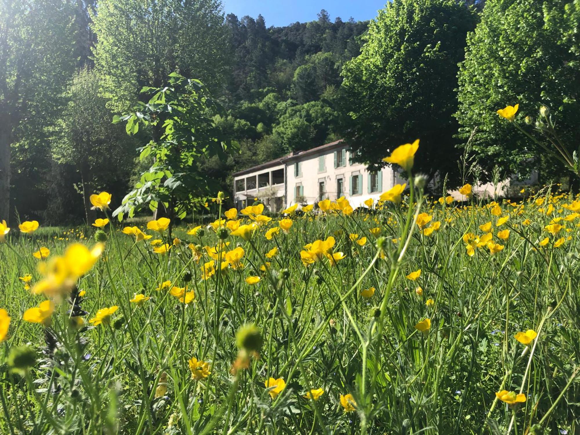Chateau Du Fraissinet, 6 Gites Sleeping 2-8 Guests, Pool And River On Site La Tronche  外观 照片