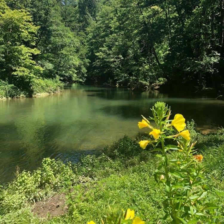 Chateau Du Fraissinet, 6 Gites Sleeping 2-8 Guests, Pool And River On Site La Tronche  外观 照片
